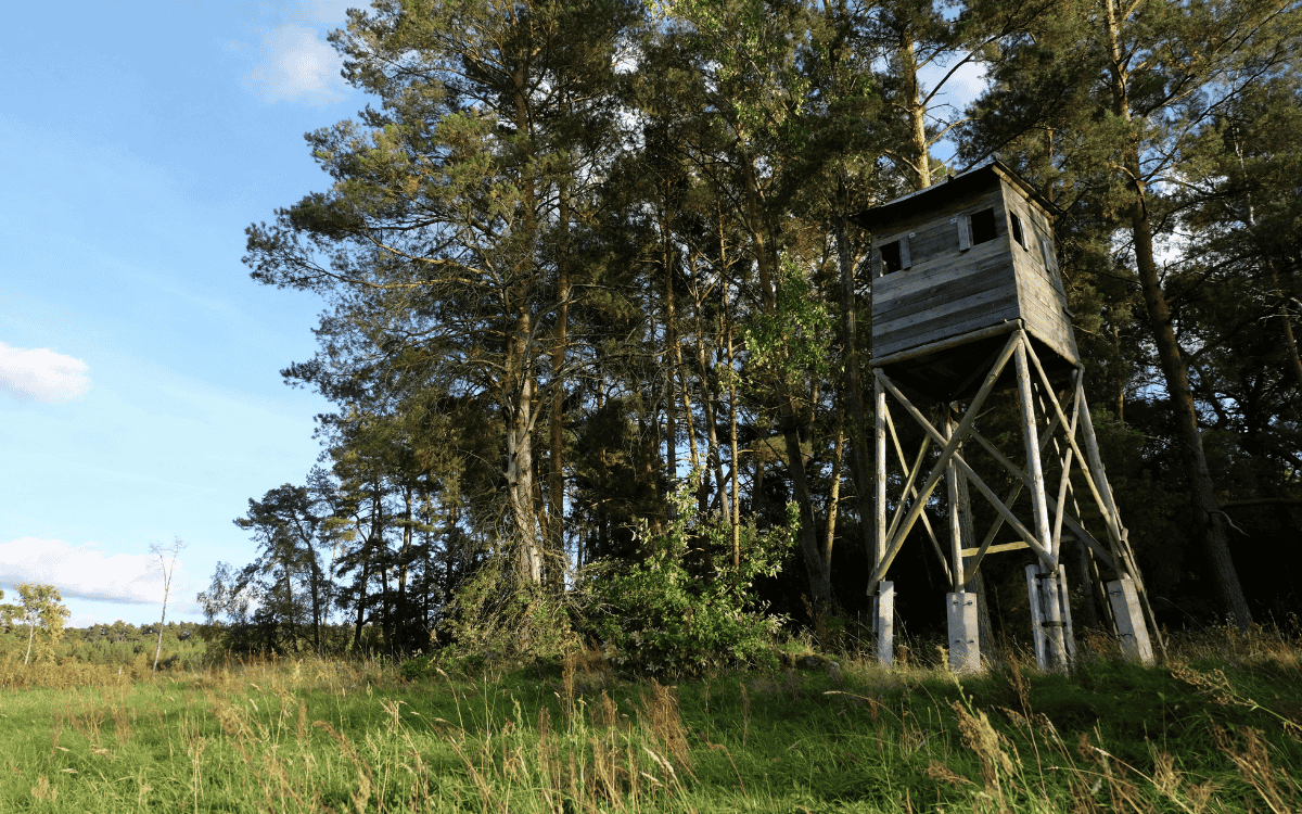 Building the Ultimate Hunting Property in Tennessee